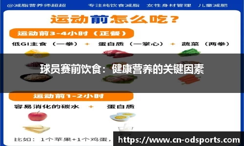 球员赛前饮食：健康营养的关键因素