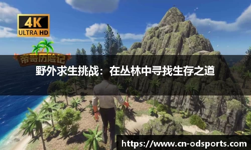 野外求生挑战：在丛林中寻找生存之道