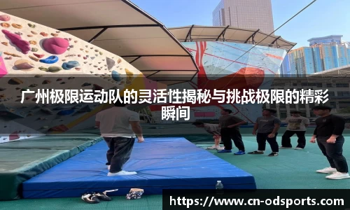 od官网官方网站